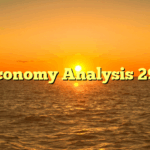 Economy Analysis 299