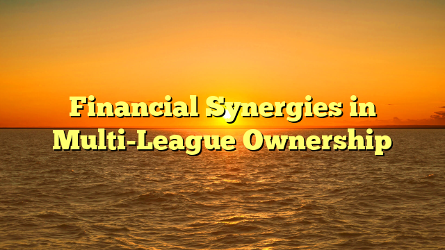 Financial Synergies in Multi-League Ownership